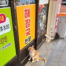 용마해장국 이미지