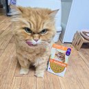 꿀단지약국 이미지