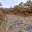 석기농장 이미지