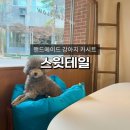 스윗테일 이미지