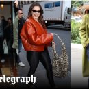 MY DOG GROOMING 이미지