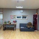 라온하제펜션 이미지