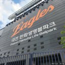 509 | <야구장 직관 후기> - 대전 한화생명 볼파크 외야탁자석 509구역 1열 후기