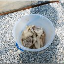 배근농장 이미지