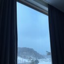 비에이치씨봉평휘닉스점