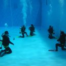 6월 24일 스쿠버 다이빙 무료교육 수영장 2일차 교육후기 이미지