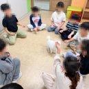 전주양지초등학교 이미지