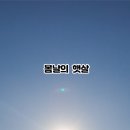 봄날의 햇살 이미지