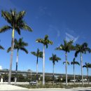 하바나빌딩 개방화장실 | 차: 추운 겨울에 따뜻한 도시로의 여행 | 아메리칸 항공 | 에어비앤비 숙소 추천 | 윈우드 | 리틀 하바나