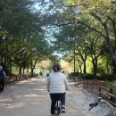 (주)모모 이미지