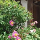 가연재가요양센터 이미지