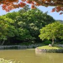 동백산방 이미지