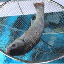 태백수족관 이미지