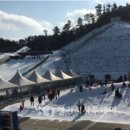 안성시사계절썰매장 이미지