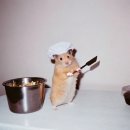 참숯구이 정육식당 | 더꼬들참숯구이 대전둔산동고기집 정육식당 맛집 후기