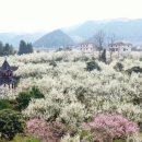 동방산소 이미지