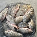 이천낚시터 이미지