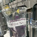 괴정동물병원 | 계약직 동물 병원 수의테크네이션 ,,, 후기