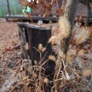 예손농원캠핑장 이미지