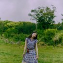 조이비디오 이미지