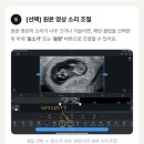 로그싱크 | [공구 오픈] 찌 니 X 뿌리로그 돌잔치 영상 템플릿 (11,900원으로 쉽게 제작해보세요!)