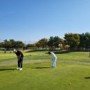 대영실내골프연습장 이미지