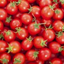 ⭕️품절풀림⭕️ 네멤 무배) 맛꾼푸드 방울토마토 1kg 4,800원 이미지