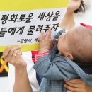 평화로운세상 이미지