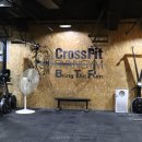 크로스핏 라이언짐 이미지