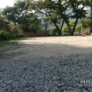 펜션 다알리아 이미지