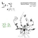 닥터해빗김미정소아청소년과의원 네이버블로그