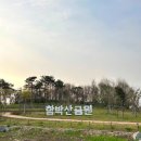 함박산중앙공원 주변 이미지