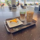 마소마레 이미지