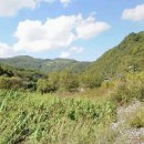 봉화공인중개사사무소 이미지