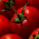 토마토 효능, 영양 성분, 부작용, 토마토 고르는 법과 먹는 법 이미지