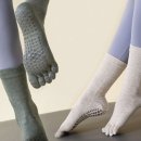 요가테스 B 이미지