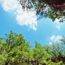 용소폭포1 이미지