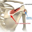피트니스더클럽 지동점 이미지