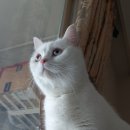 잔잔잔cafe