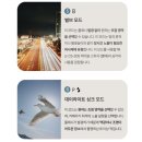auto master | 펜탁스 17 (Pentax 17) 클래식한 디자인에 현대적인 성능의 필름 카메라 사용 후기