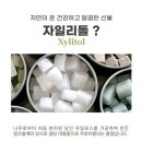 오설니암영농조합법인 | 미듬 영농조합법인 자일리톨 스톤 선물 받은 후기