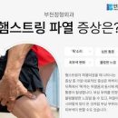 허벅지 뒤쪽 햄스트링 통증 원인 및 치료 스트레칭 : 파열 부상 이미지