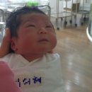 진통뼈사랑 이미지