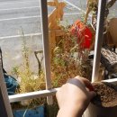 (주)천둥소리 이미지