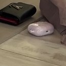 9호선 지하철 에어팟 분실 후기 (열차 내 분실시 대처 방법까지..)