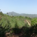 마명산(강하면) 티스토리
