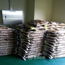 도안면사무소 이미지