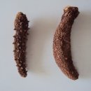 (주)지엔케이 네이버블로그
