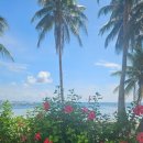 LEGEND RACING 이미지