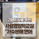비타민 건강교실 | 고양이사료추천 사료영양학교실 캣츠비 가수분해 연어 기호성 대박 급여후기